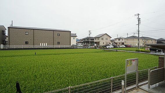 カーサフィオーレII_周辺_0