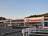 周辺：ホームセンター「コメリホームセンター大矢知店まで1602ｍ」