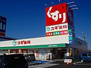 ドラックストア「スギ薬局鈴鹿寺家店まで986ｍ」
