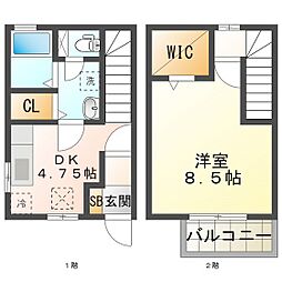 カンフォーラ D