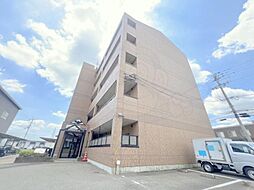 エクセルコート・まはたぎ
