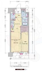 プレサンス十条凛華 7階/-