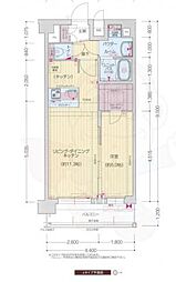 プレサンス十条凛華 6階