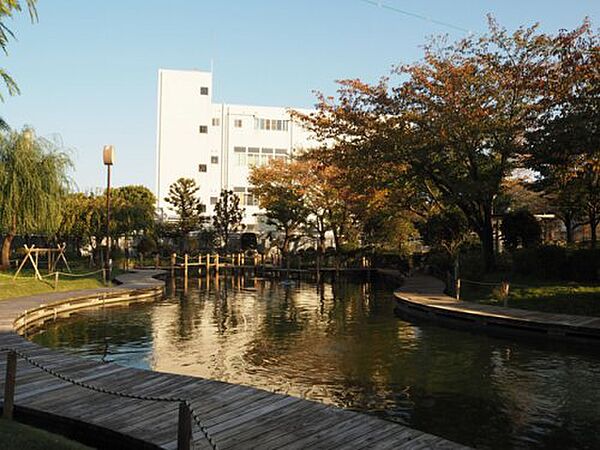 パトリス小豆沢 ｜東京都板橋区東坂下2丁目(賃貸マンション1LDK・7階・49.35㎡)の写真 その19