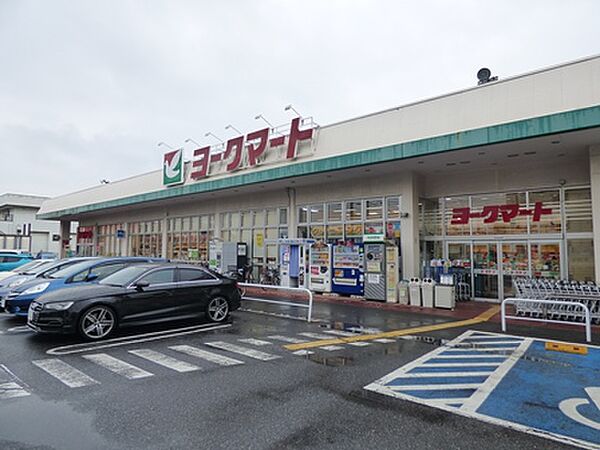 画像21:ヨークマート 南元宿店（690m）