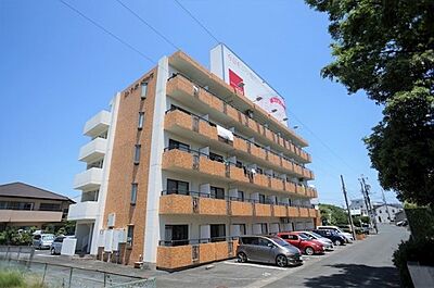 外観 外観