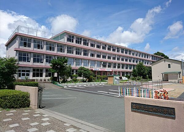 画像24:浜松市立富塚小学校