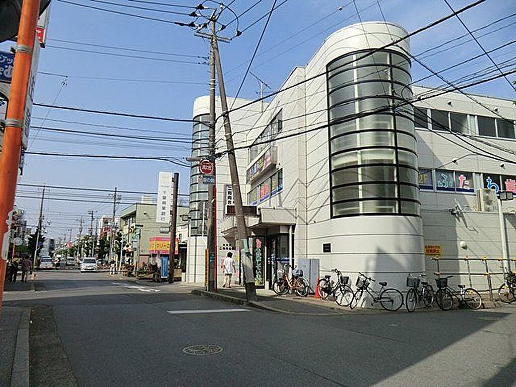 Image 7