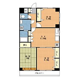 パティオ藤ヶ丘 1階3DKの間取り