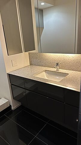 洗面 <VECS>ザ・パークハウス西麻布レジデンス　21階 21階/-