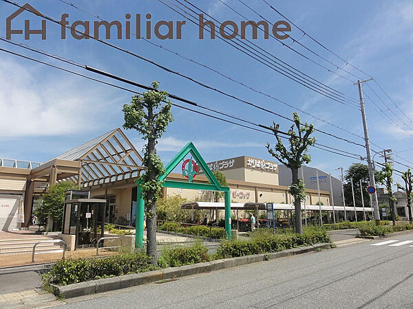 周辺を拡大表示