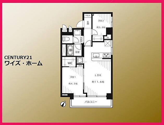 間取り 東京メトロ有楽町線 江戸川橋駅 徒歩4分
