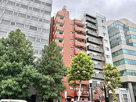 【外観】帰ってくるたびに嬉しくなる。住む人の誇りを形にしたような建物。