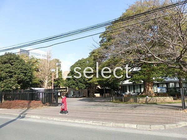 画像28:私立淑徳大学千葉キャンパス 徒歩2分。 160m