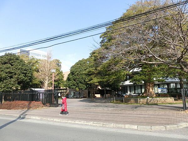 画像28:淑徳大学 1300m