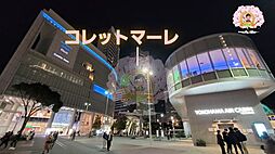 【その他】コレットマーレまで335ｍ
