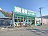 周辺：業務スーパー 東村山店（656m）