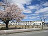周辺：余目第三小学校まで1300ｍ（徒歩17分）