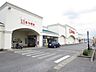 周辺：とりせん下館店様まで約2.4kmです。生鮮食品から日用品までこちらで揃います。毎日のお買い物ご利用されてはいかがでしょうか。 2400m