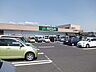周辺：フレッセイ阿久津店まで950m（徒歩12分）。食料品や日用品の買い物に便利なスーパーが徒歩圏内にあり、毎日の暮らしを快適にサポートします。