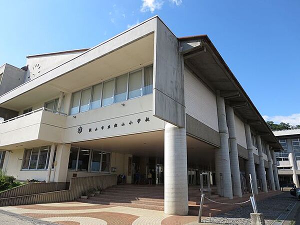 周辺を拡大表示