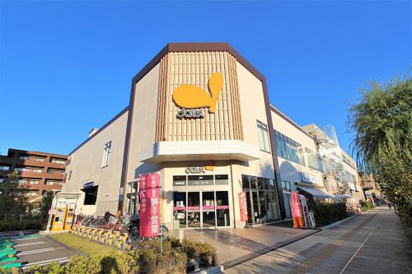 画像22:【スーパー】ダイエー浦安駅前店まで132ｍ