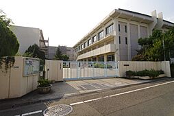 シャーメゾン　ローヤル美鈴
