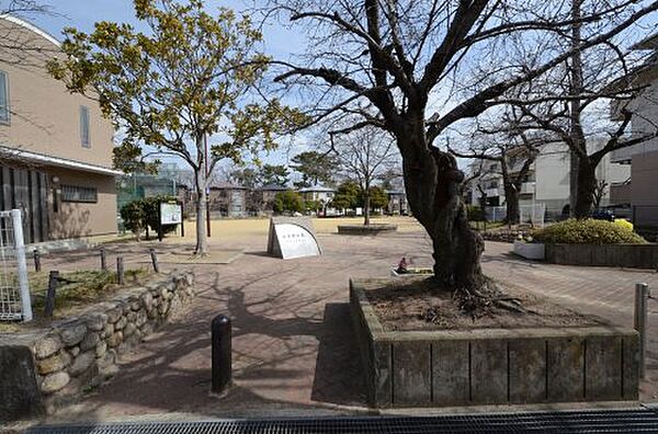 兵庫県西宮市若草町2丁目(賃貸マンション3LDK・5階・59.00㎡)の写真 その24