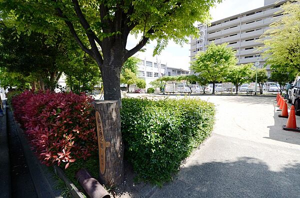 兵庫県西宮市甲子園春風町(賃貸マンション2K・2階・25.00㎡)の写真 その25