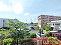 ■緑が多く癒さ...