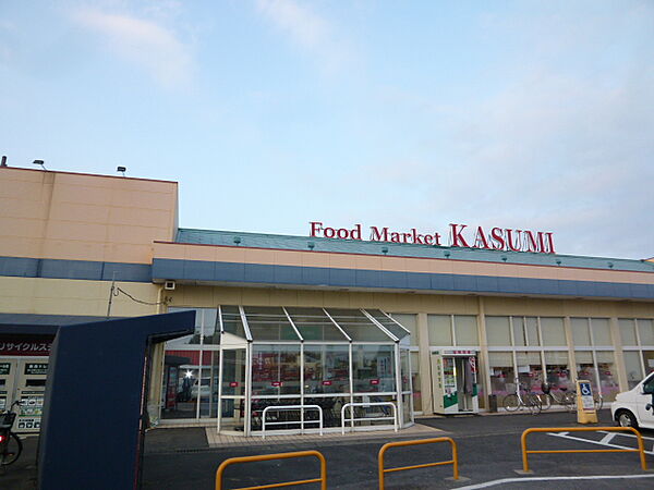 画像18:KASUMI（カスミ） 高津店（1016m）