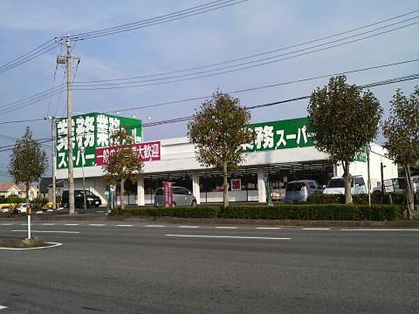 画像22:業務スーパー 土浦店（1379m）