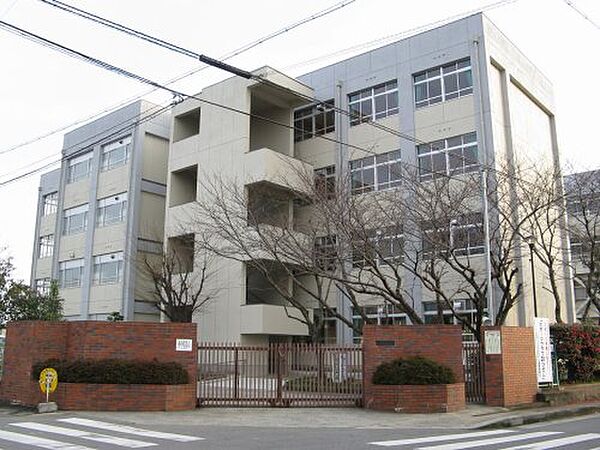 画像23:【小学校】姫路市立東小学校まで395ｍ
