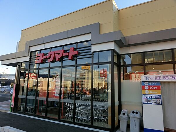 画像30:【スーパー】ヨークマート厚木インター店まで2582ｍ