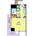 ディアレイシャス横浜吉野町11階9.9万円