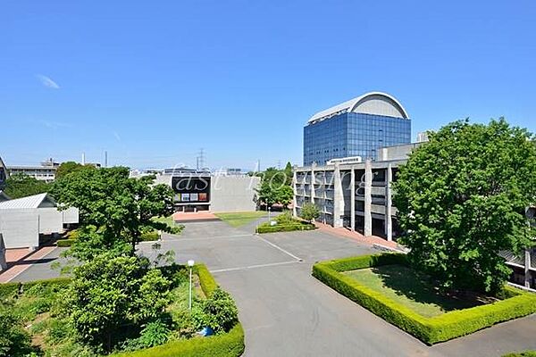 画像18:私立武蔵野美術大学 2189m