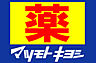 周辺：マツモトキヨシ薬松戸西口店（5m）
