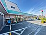 周辺：ドラッグセイムス 西亀有店（82m）