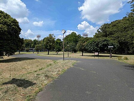 都立城北公園（物件より約120ｍ）