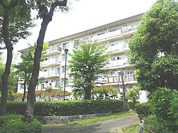 大沢団地