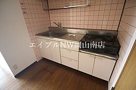 岡山県岡山市南区新福1丁目（賃貸マンション1K・4階・31.94㎡） その5