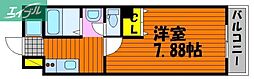 Primrose 4階/-