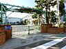 周辺：江戸川区立鹿本小学校 徒歩10分。 770m