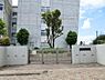 周辺：市川市立新浜小学校 徒歩11分。 860m