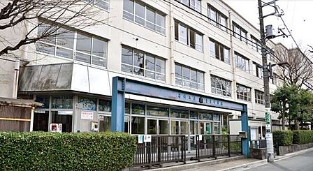 葛飾区立青葉中学校 870m