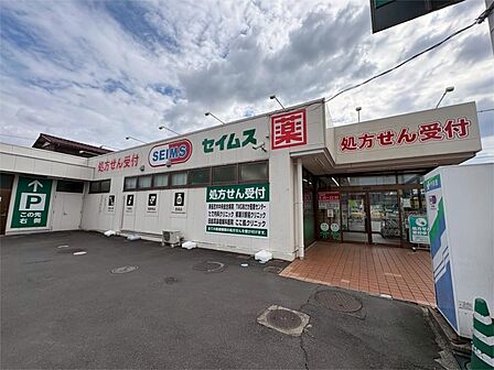 ドラッグセイムス 柳瀬川店(2026m)