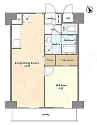 ミリアレジデンス押上 10階