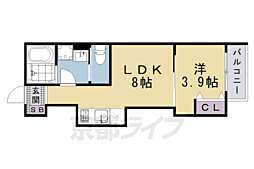 D porta Pine 1LDKの間取図画像