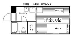 グレース松尾
