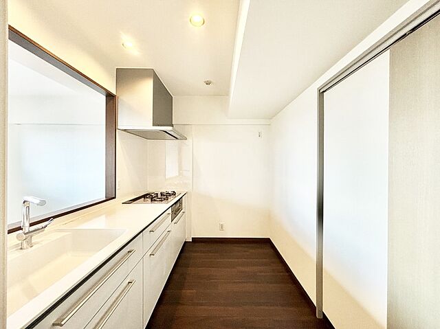 キッチン ルイシャトレ越谷大袋 7階/-